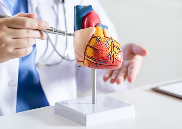 循環器内科専門医